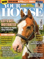 Your Horse
